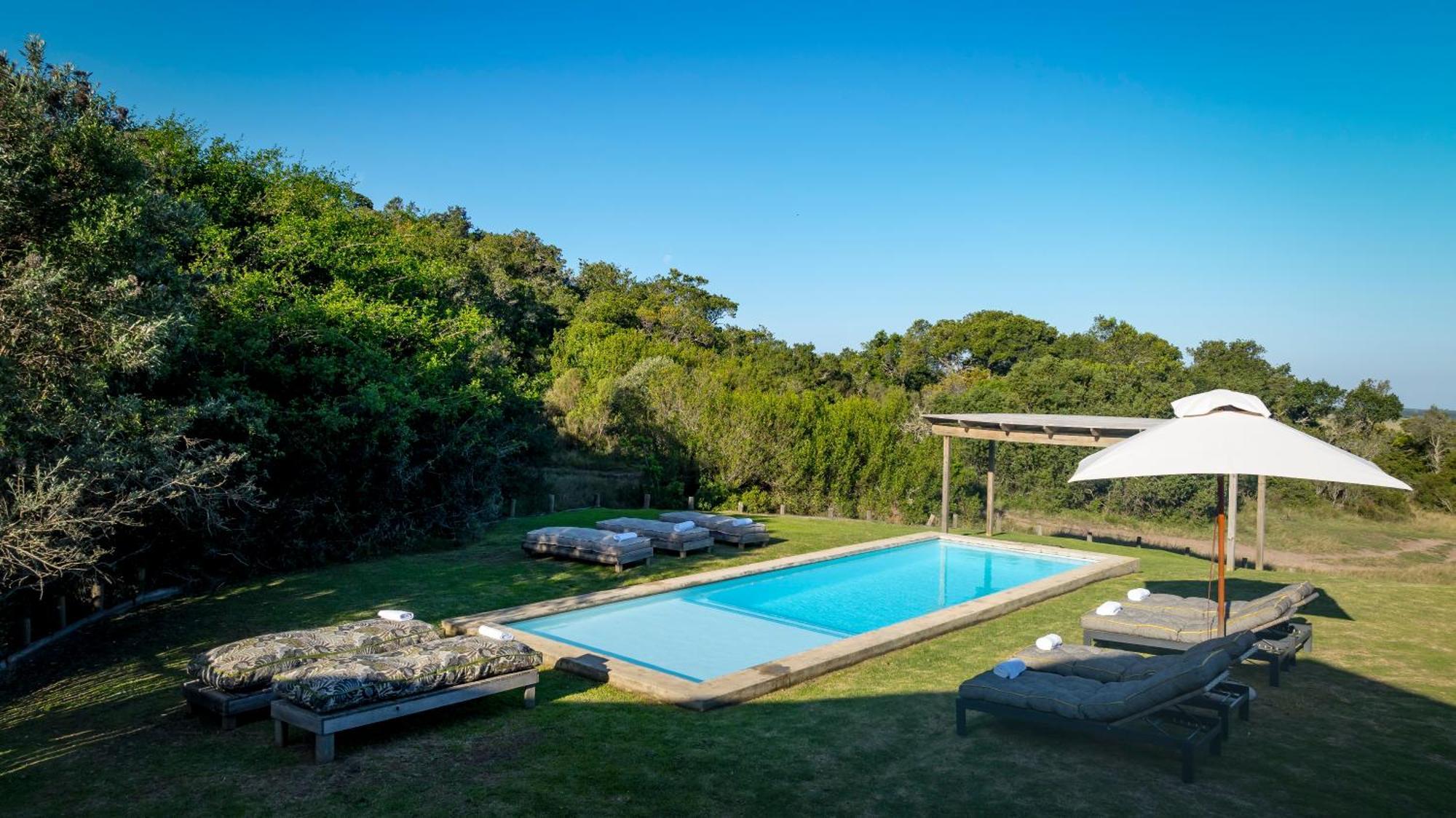 פלטנברג ביי Belle Balance Bush Lodge מראה חיצוני תמונה