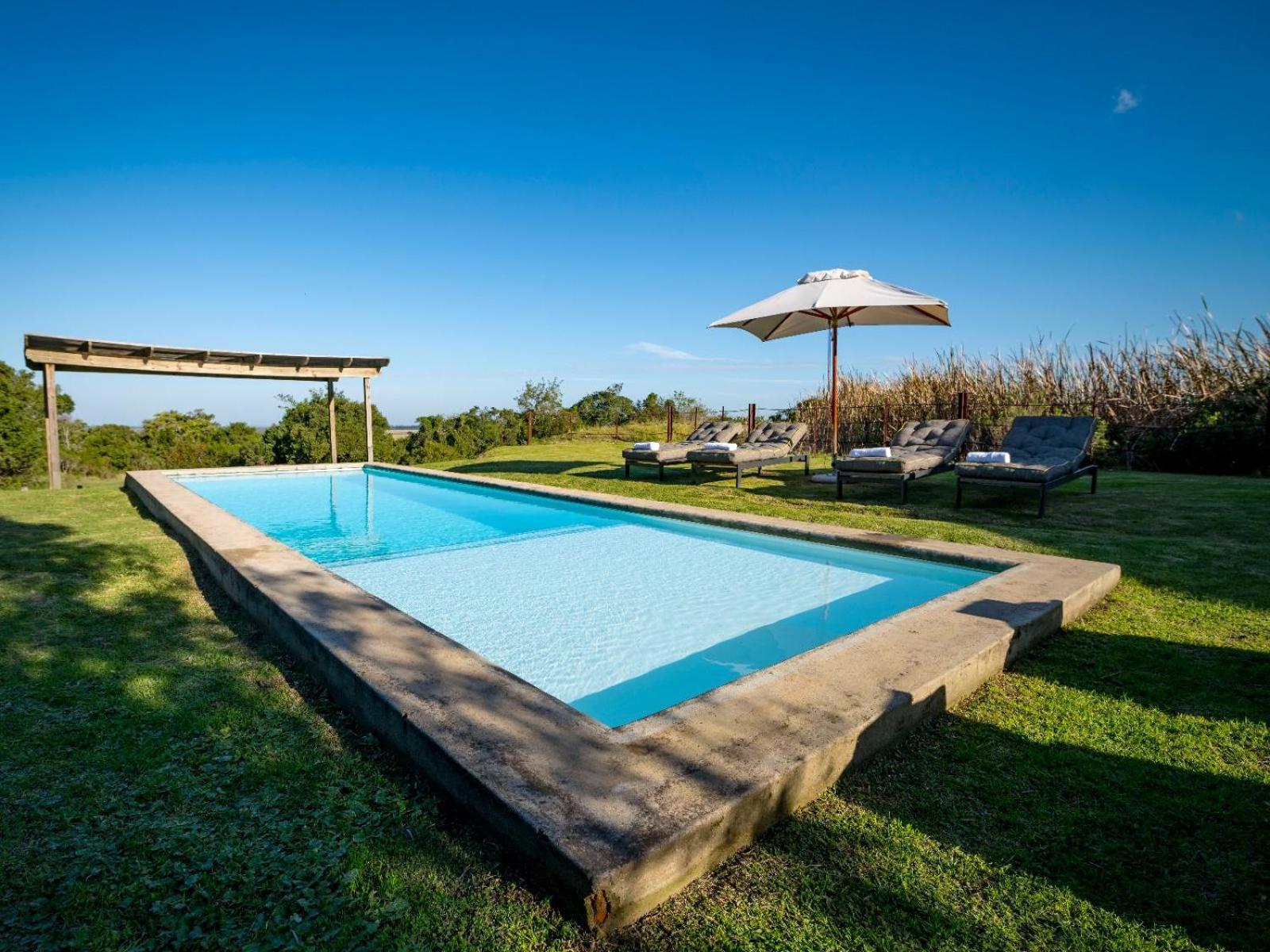 פלטנברג ביי Belle Balance Bush Lodge מראה חיצוני תמונה